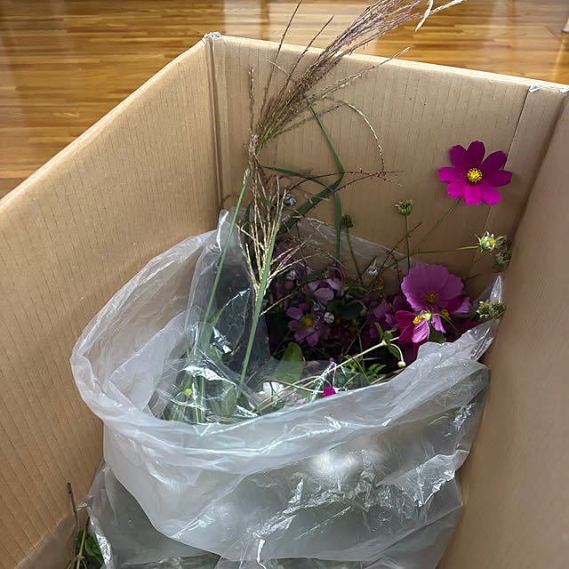 syutmmさんの部屋