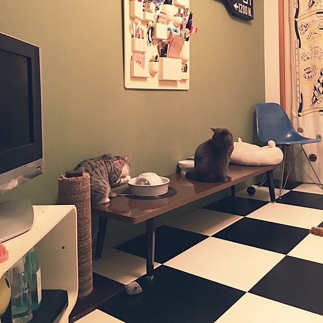 Shojiさんの実例写真