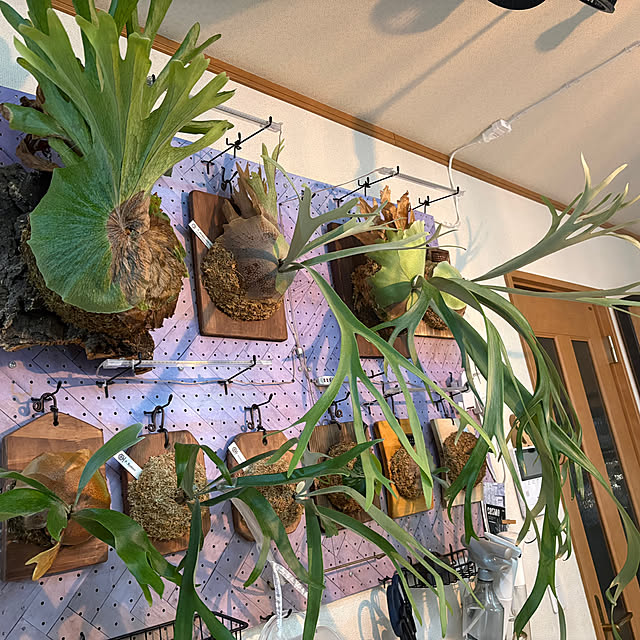 CoffeeHouseさんの実例写真