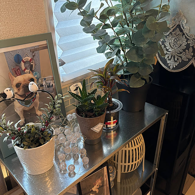 haruharu3さんの実例写真