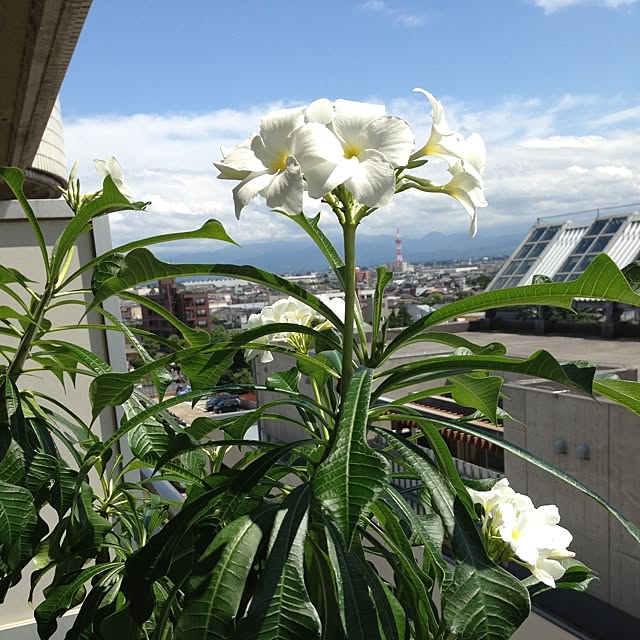 reko639さんの実例写真