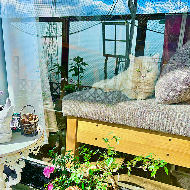 naokoさんの部屋