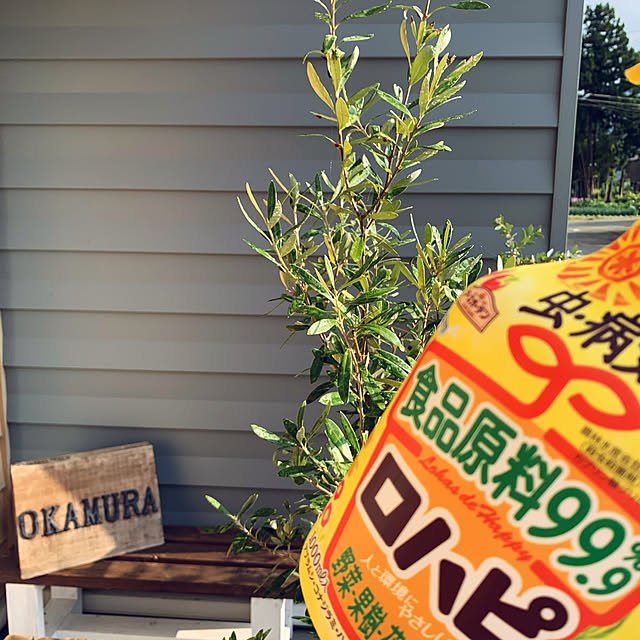 chisarucanさんの実例写真