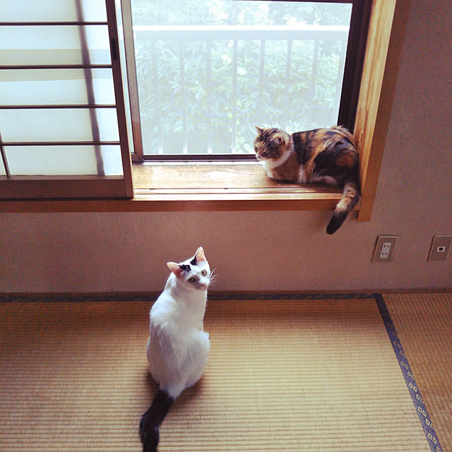 yukieさんの実例写真