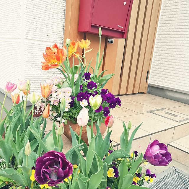 sanagi1219さんの実例写真