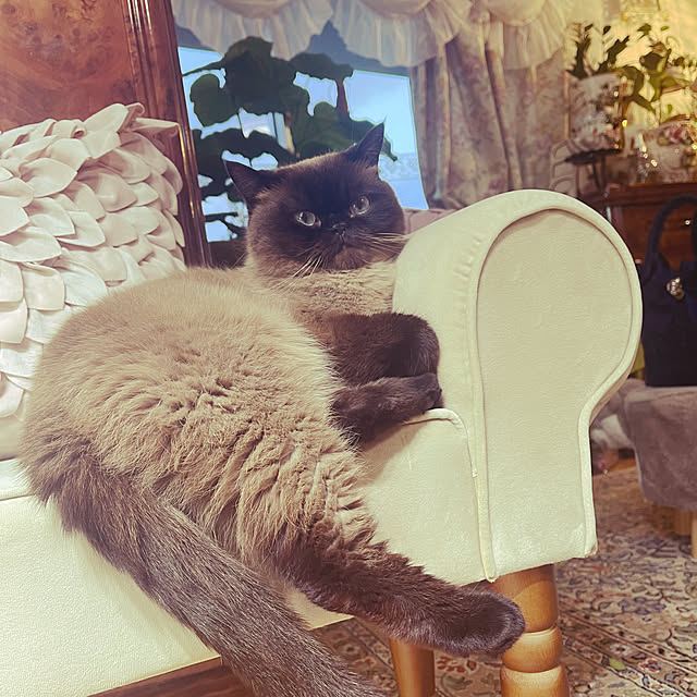 Nylさんの実例写真