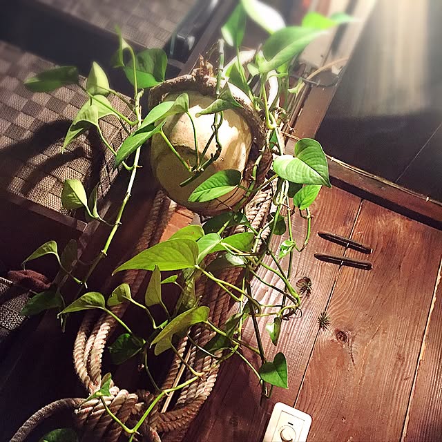 etsuさんの実例写真