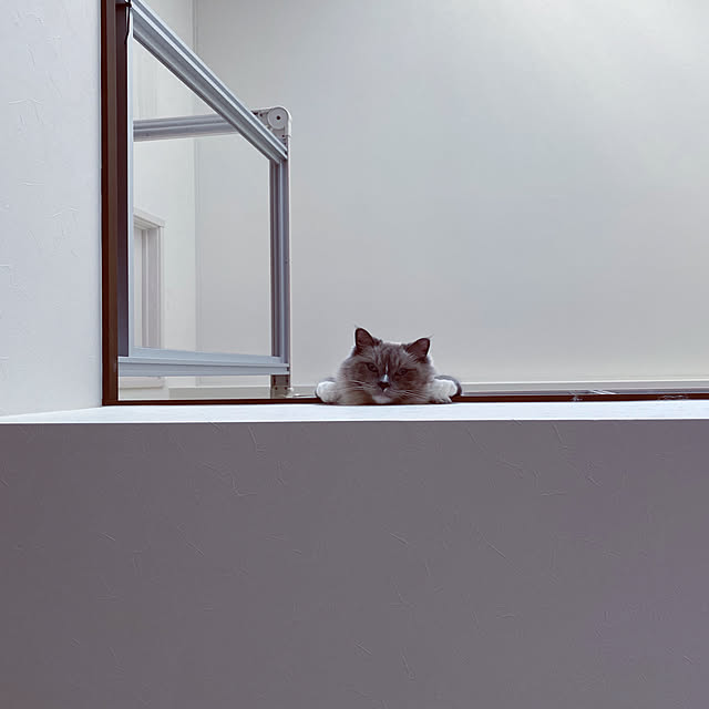 ne-coさんの実例写真