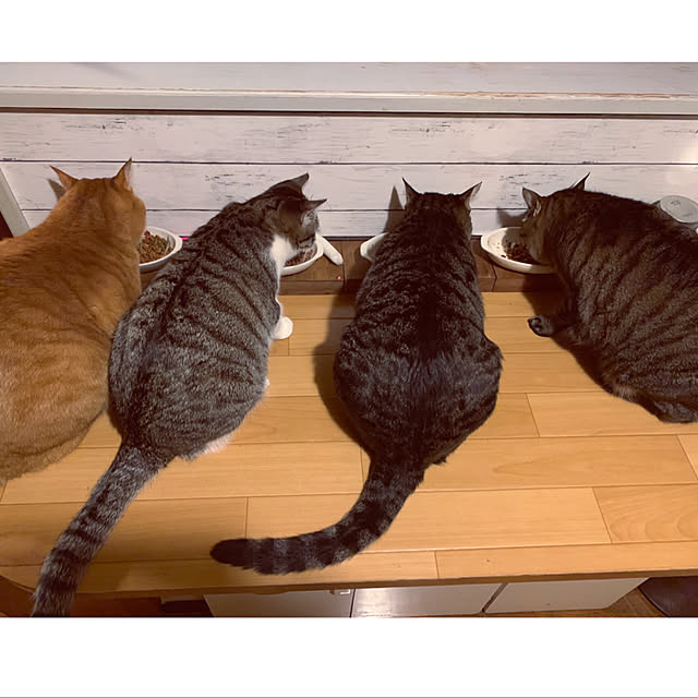 yuraさんの実例写真
