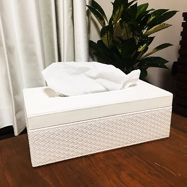 creamskimmingさんの実例写真
