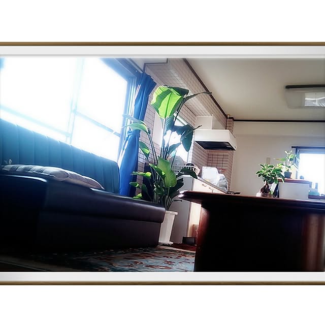 a.kouさんの実例写真