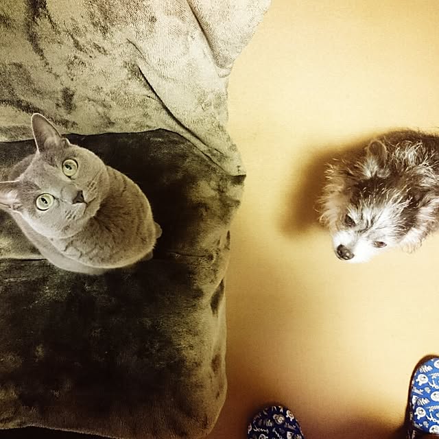 kosame918さんの実例写真
