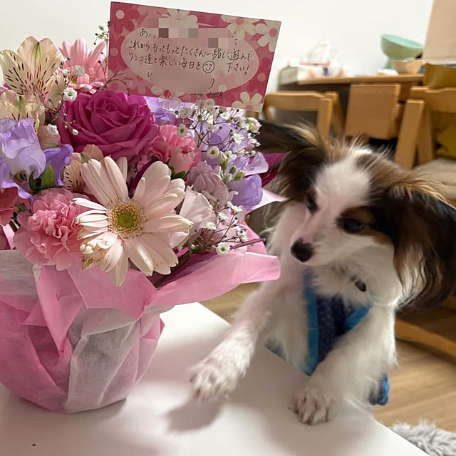 buddykoさんの部屋