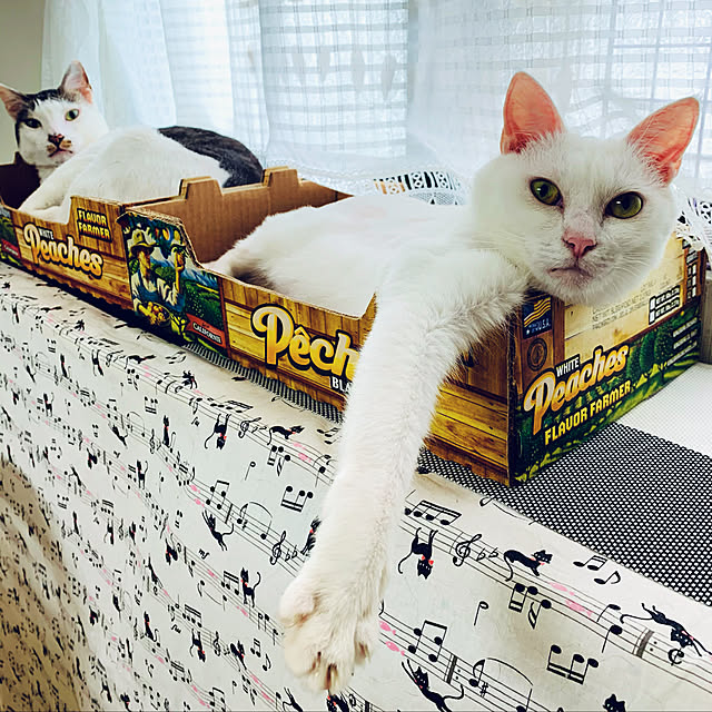 pcu110さんの実例写真