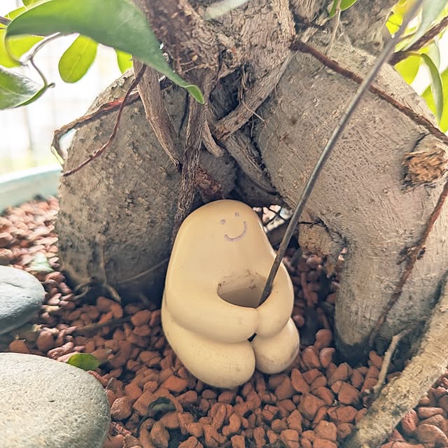 mi-saさんの部屋