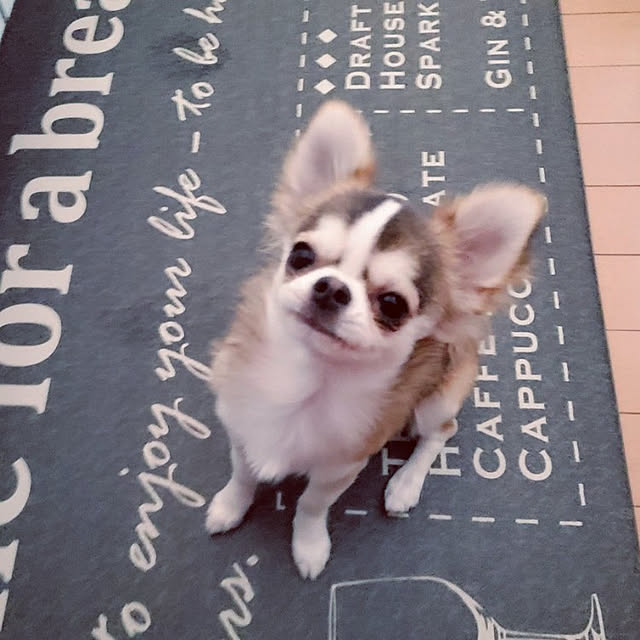macyaさんの実例写真