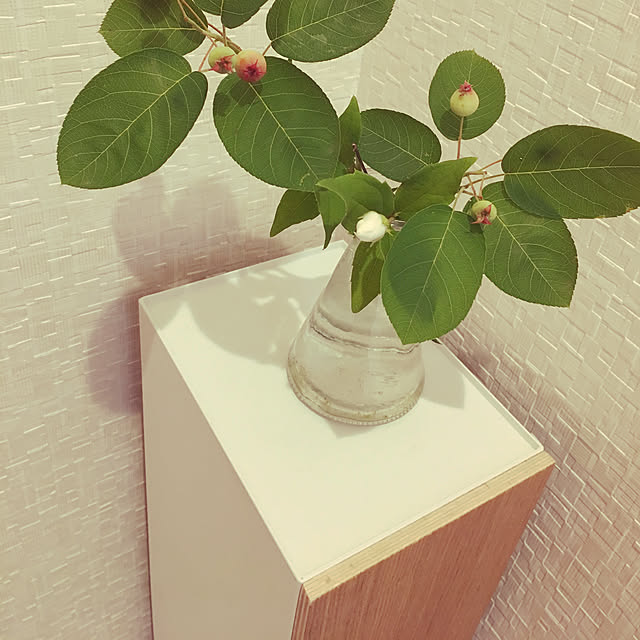 umiさんの実例写真