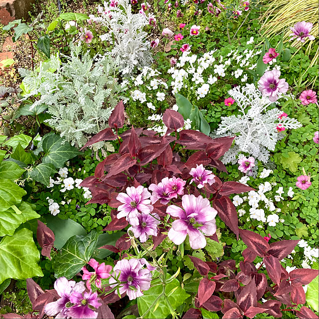 green.green.greenさんの実例写真