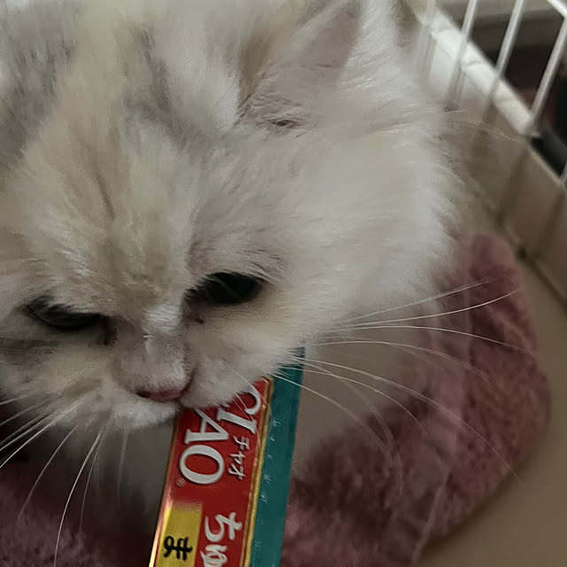 AYUKOさんの実例写真