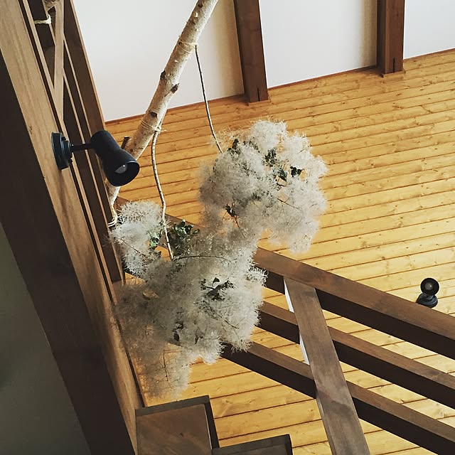 soraさんの実例写真
