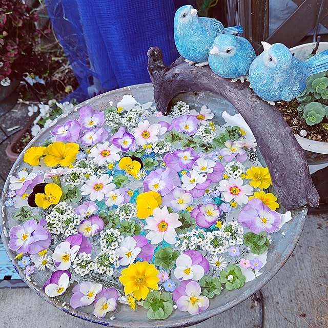 mocomocoさんの実例写真