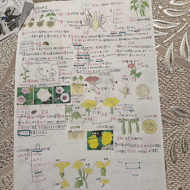 mamizaさんの部屋