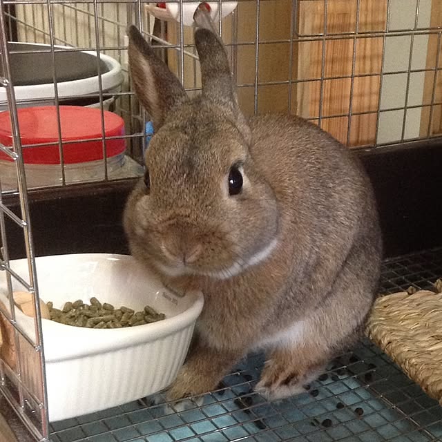yuzu0223さんの実例写真