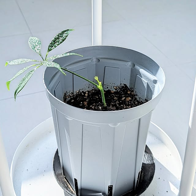 a.co.さんの部屋