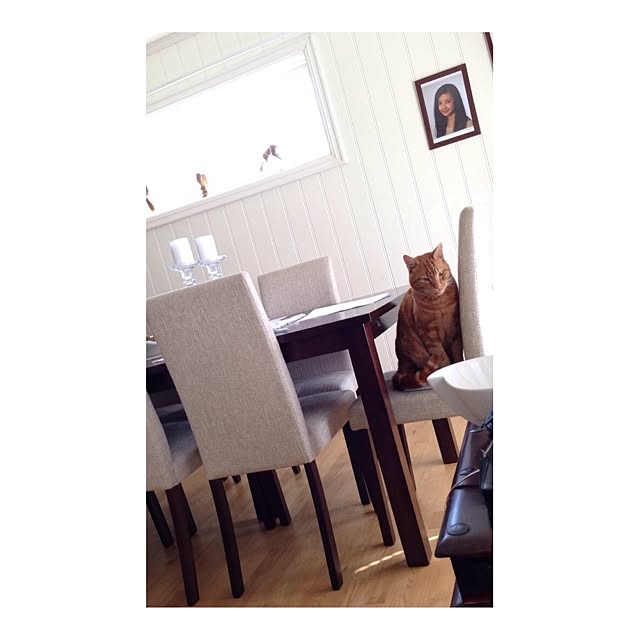 kimberlydahleさんの実例写真