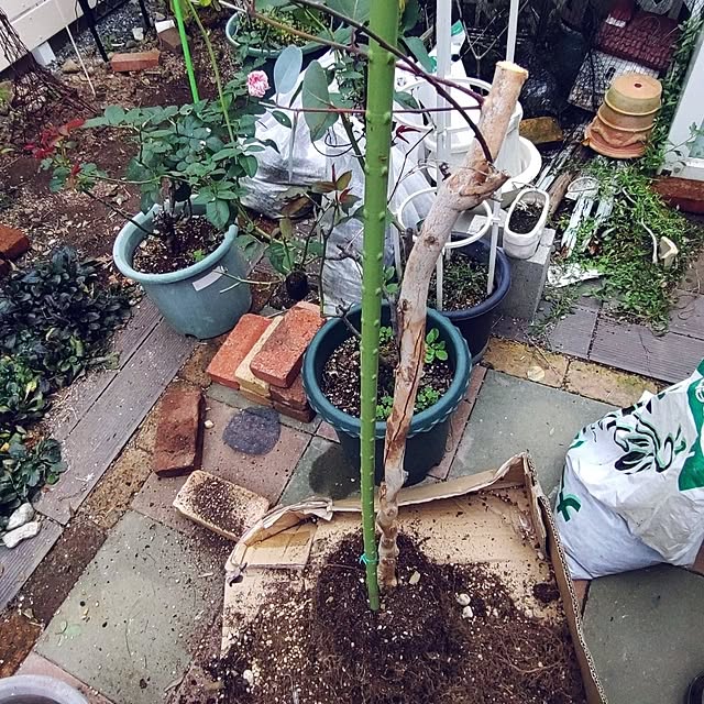 Bienvenueさんの部屋