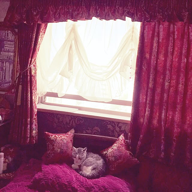 emmyyさんの実例写真