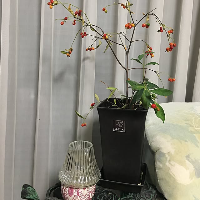 niconさんの実例写真