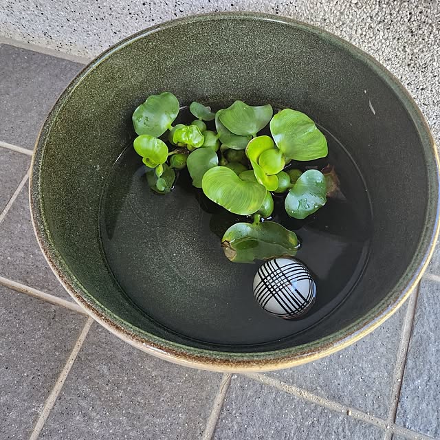 cotapiさんの実例写真