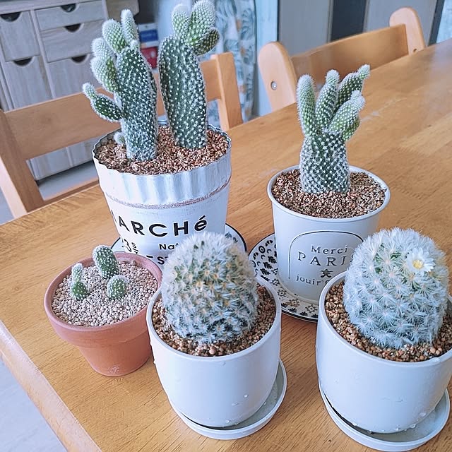 cocomintさんの実例写真