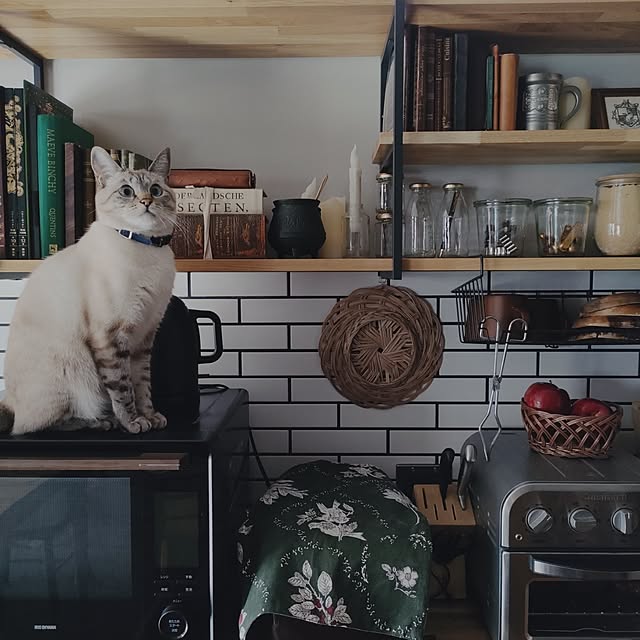 Atelier_tamakiさんの実例写真