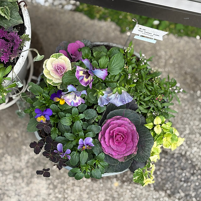 maayaさんの実例写真