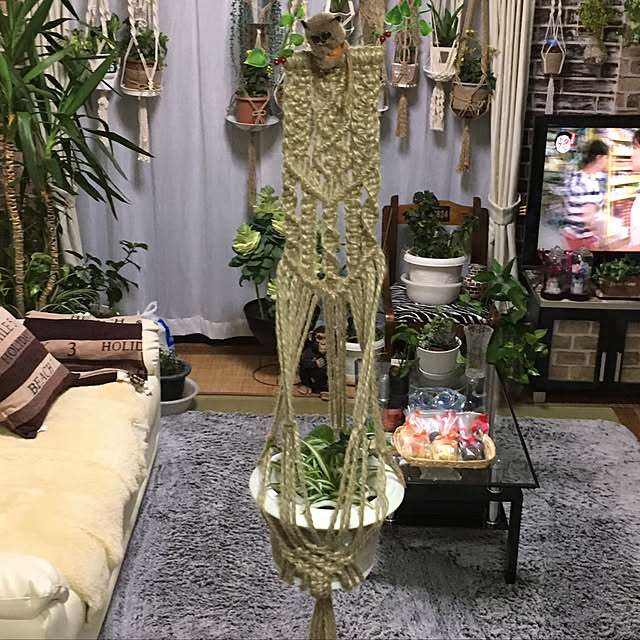 nanaさんの実例写真