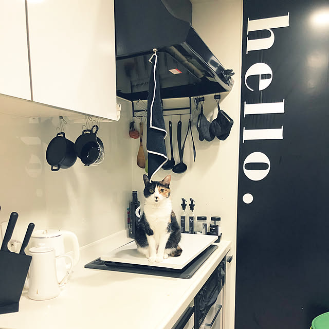 aoiさんの実例写真
