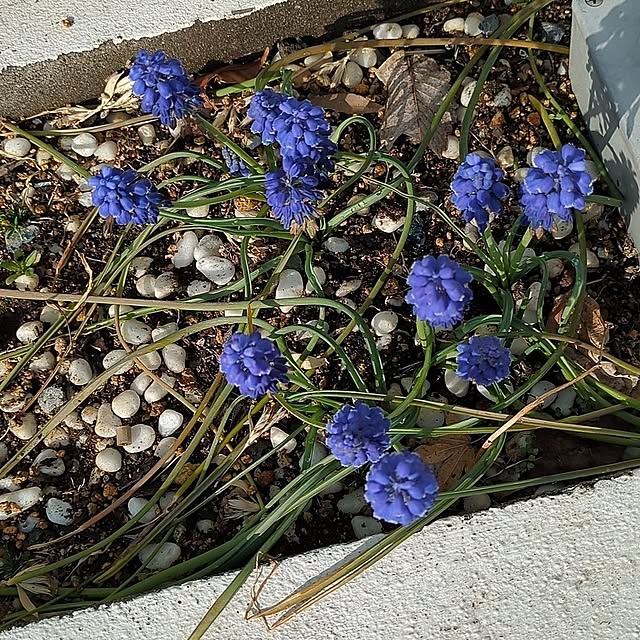 minnieさんの部屋