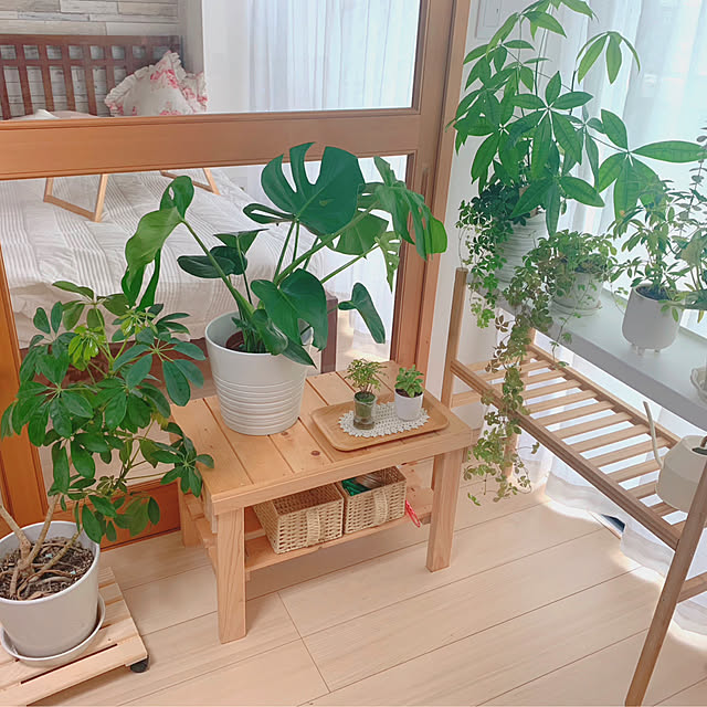 pappaさんの部屋