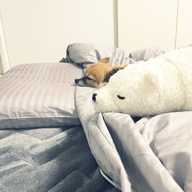 cocoelleさんの実例写真