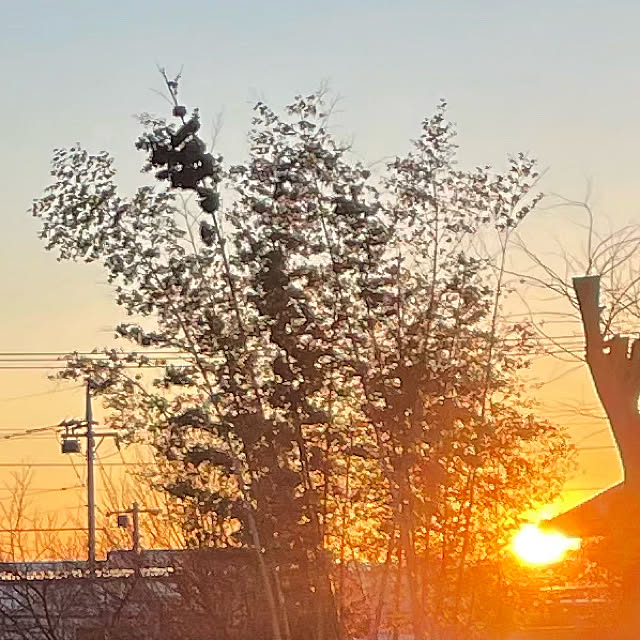 ronronさんの実例写真