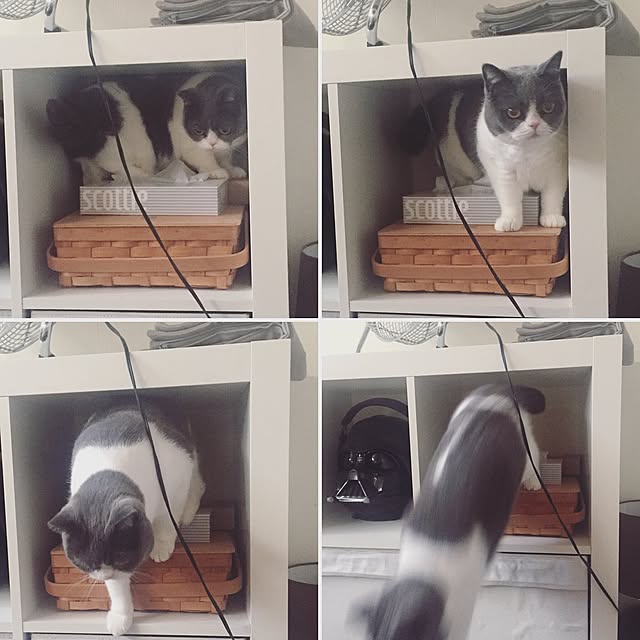 mohayaeteさんの実例写真