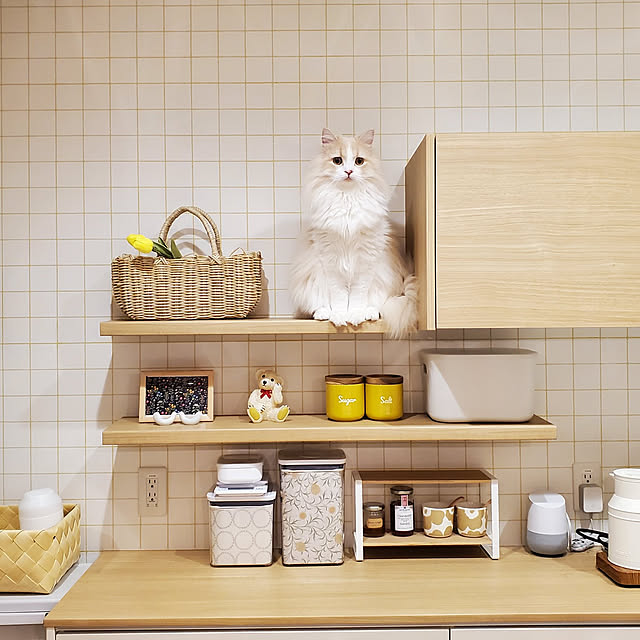 annyaさんの実例写真