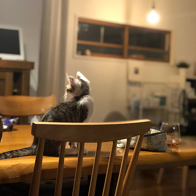 a.f.さんの実例写真