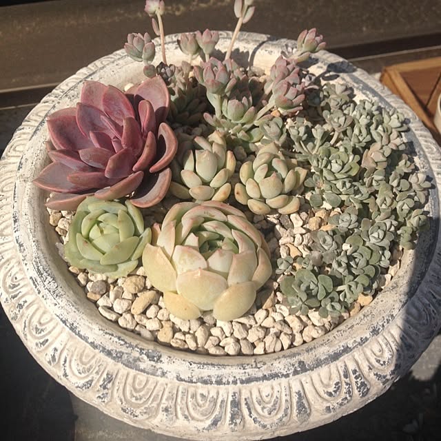 saqura_apartment101さんの実例写真