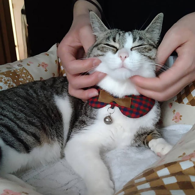 sakai0531cさんの実例写真