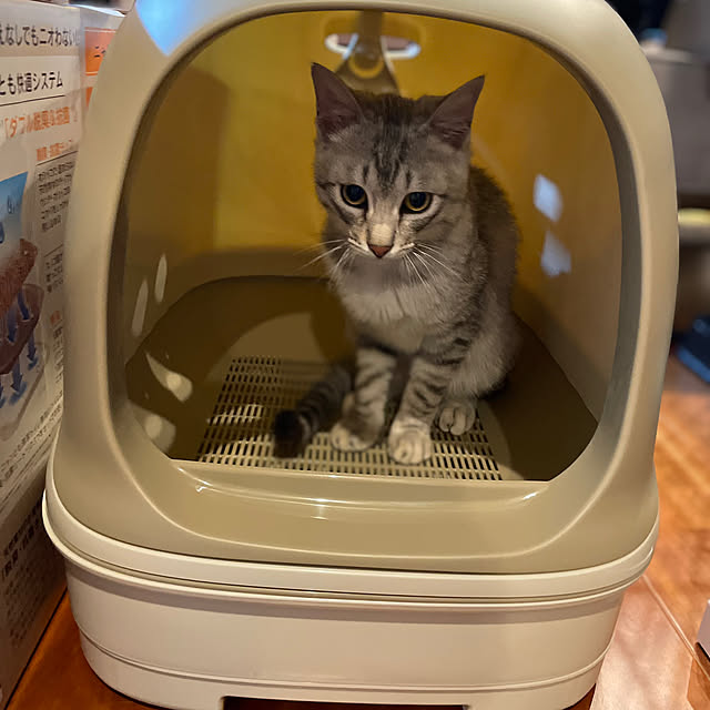 micaさんの部屋