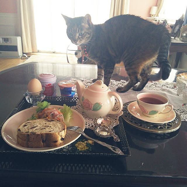 sakuraさんの実例写真