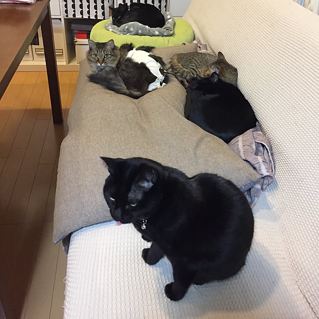 yuki0511さんの実例写真